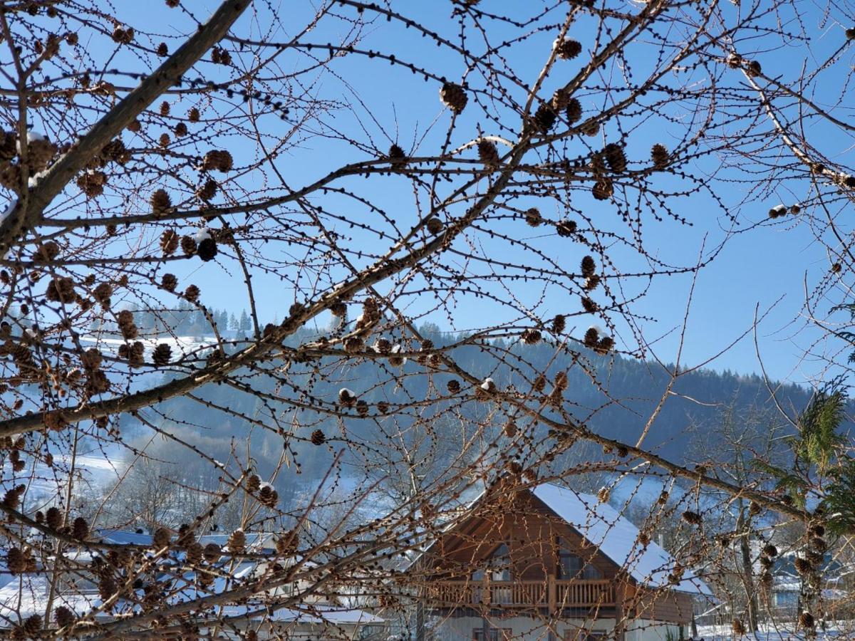 На Галіції Villa Beloberezka Bagian luar foto
